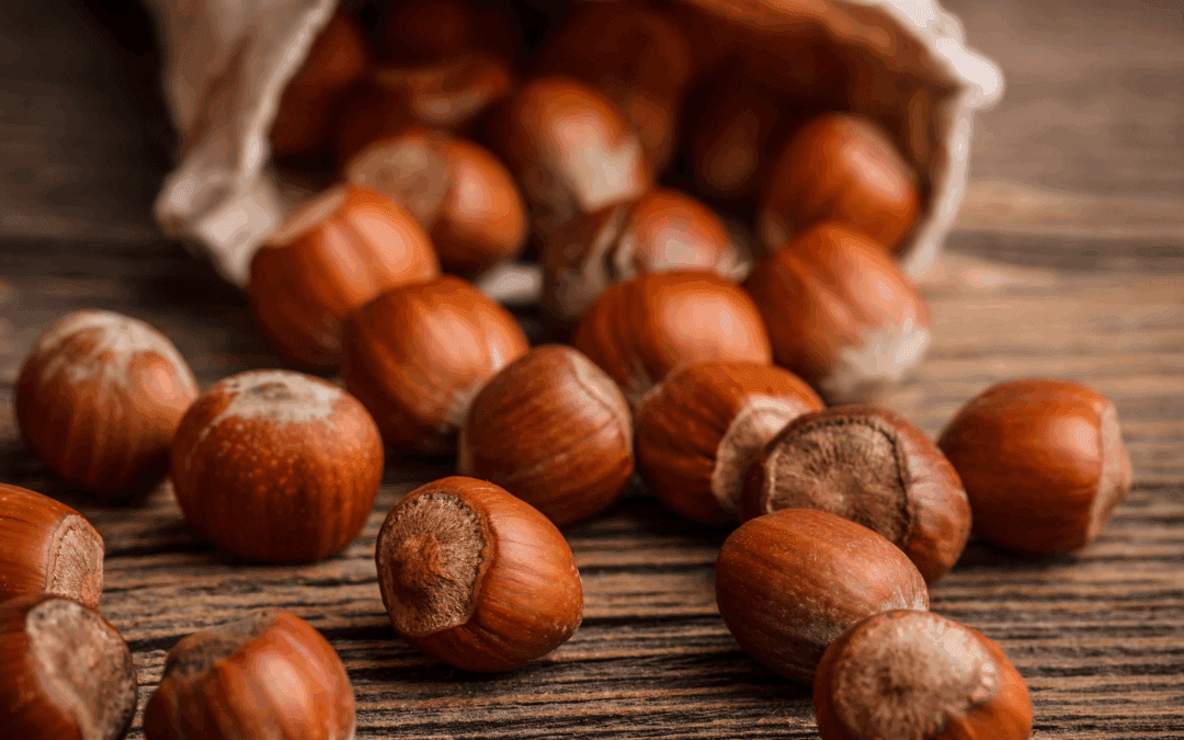 Il menù alla nocciola del Vin Bistrot: un viaggio sensoriale tra eleganza e territorio